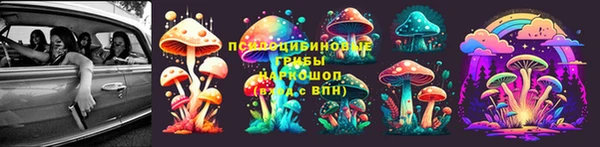 спиды Корсаков