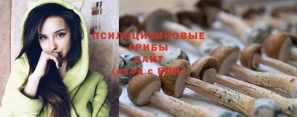 синтетический гашиш Коряжма