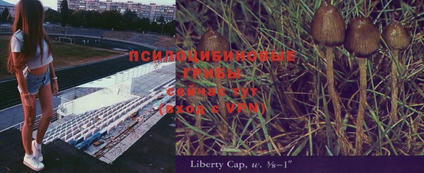 прущая мука Медвежьегорск