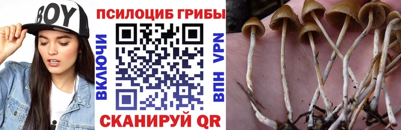mega как войти  Яблоновский  Псилоцибиновые грибы мицелий 